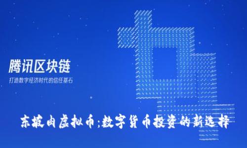 东坡肉虚拟币:数字货币投资的新选择