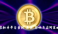虚拟币平台查封：原因、影响与应对策