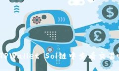 如何在TPWallet Sol链中查看交易哈希值？