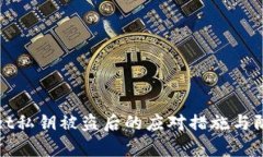 tpwallet私钥被盗后的应对措施与防范指南