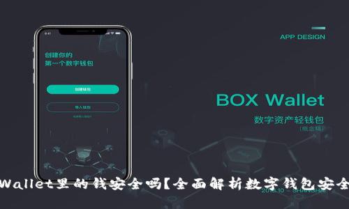 TPWallet里的钱安全吗?全面解析数字钱包安全性