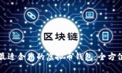 选择最适合您的虚拟币钱包：全方位指南
