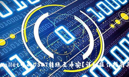 如何将TPWallet中的USDT转账至币安?详细操作指南与问题解析
