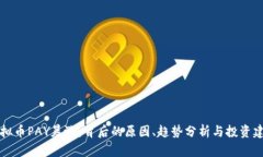 虚拟币PAY暴涨：背后的原因、趋势分析