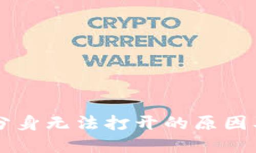 TPWallet分身无法打开的原因及解决方法