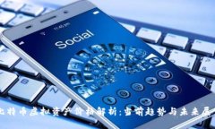比特币虚拟资产价格解析：当前趋势与未来展望