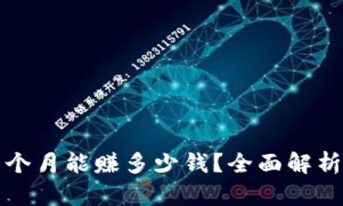 TPWallet一个月能赚多少钱?全面解析收益与风险