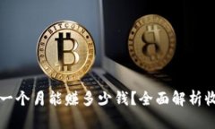 TPWallet一个月能赚多少钱？全面解析收