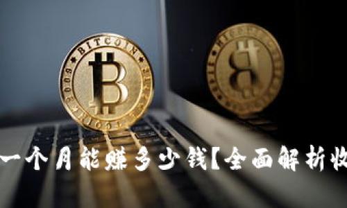 TPWallet一个月能赚多少钱?全面解析收益与风险