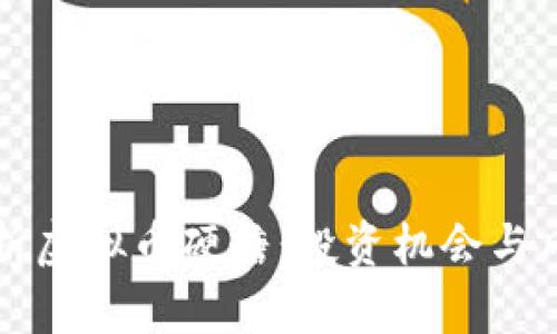 全面解析虚拟币硬糖:投资机会与风险分析