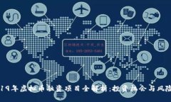 : 2019年虚拟币融资项目全解析：投资机会与风险