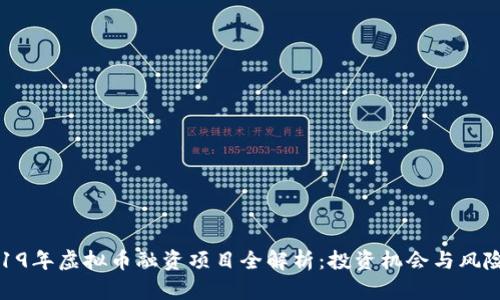 : 2019年虚拟币融资项目全解析:投资机会与风险详解