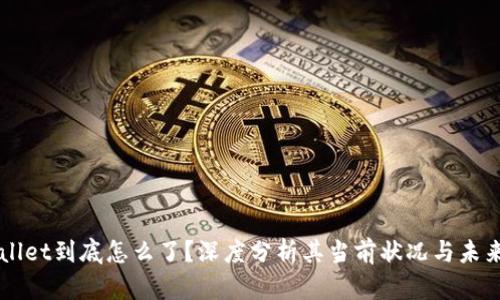 TPWallet到底怎么了?深度分析其当前状况与未来展望