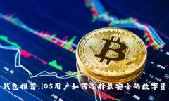 最佳虚拟币钱包推荐：iOS用户如何选择