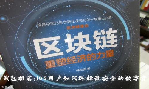 最佳虚拟币钱包推荐:iOS用户如何选择最安全的数字资产存储工具
