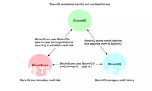 TPWallet是否支持TRC20通道?全面解析与使用指南