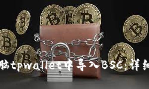 如何在电脑tpwallet中导入BSC:详细操作指南