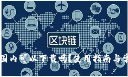 TPWallet在国内可以下载吗?使用指南与常见问题解答