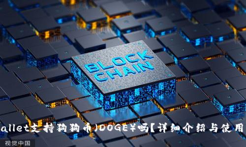 TPWallet支持狗狗币(DOGE)吗?详细介绍与使用指南