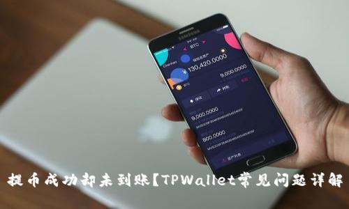 提币成功却未到账?TPWallet常见问题详解