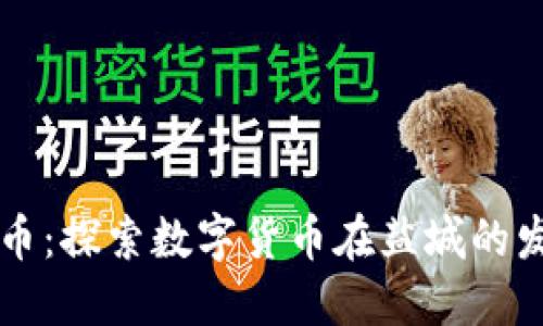 盐城虚拟币:探索数字货币在盐城的发展与应用