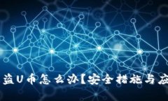 TPWallet被盗U币怎么办？安全措施与应急
