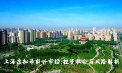 上海虚拟币新兴市场：投资机会与风险