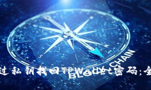 如何通过私钥找回TPWallet密码:全面指南