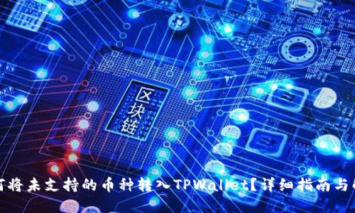如何将未支持的币种转入TPWallet?详细指南与解答