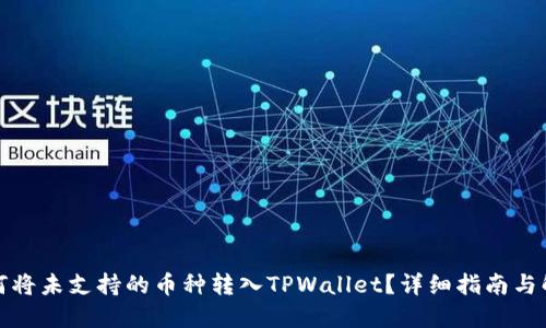 如何将未支持的币种转入TPWallet?详细指南与解答