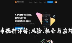 虚拟币抛押详解：风险、机会与应对策