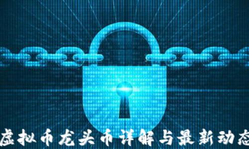 虚拟币龙头币详解与最新动态