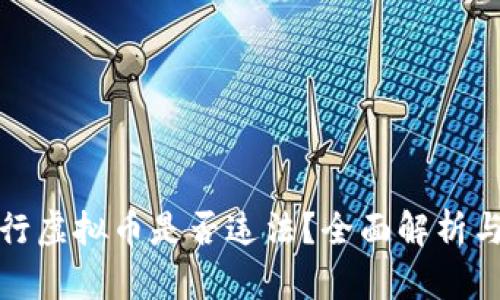 在国外发行虚拟币是否违法?全面解析与实务指导