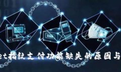 TP Wallet指纹支付功能缺失的原因与解决