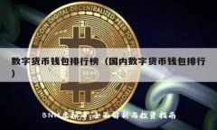 BNM虚拟币：全面解析与投资指南