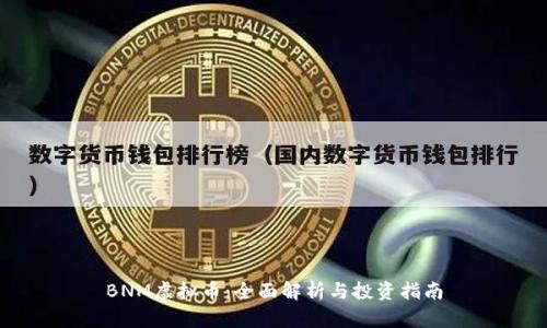 BNM虚拟币:全面解析与投资指南