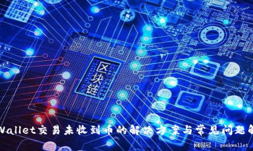 TPWallet交易未收到币的解决方案与常见问题解析