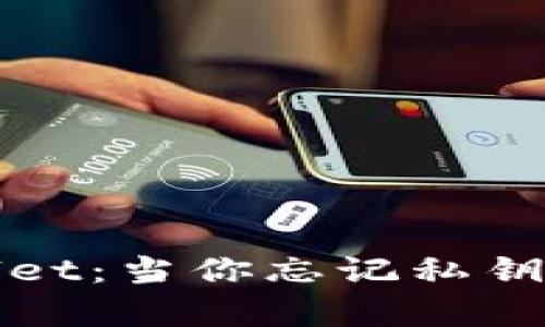 ### 如何恢复tpwallet:当你忘记私钥和助记词时的解决方案