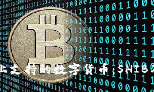 TPWallet链上支持的数字货币:SHIB及其生态解析