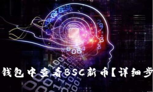 如何在TP钱包中查看BSC新币?详细步骤与说明