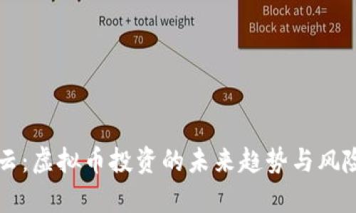 掌上云:虚拟币投资的未来趋势与风险分析