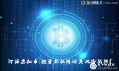 河源虚拟币：投资新机遇还是风险陷阱