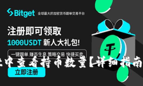 如何在TPWallet中查看持币数量?详细指南与常见问题解答