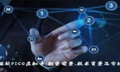 全面解析PICO虚拟币：投资前景、技术