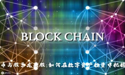 虚拟币与股票龙头股:如何在数字资产投资中把握机会