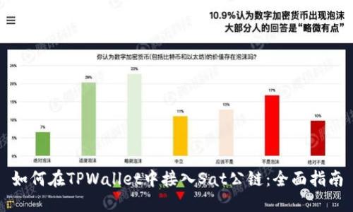 如何在TPWallet中接入Sat公链:全面指南