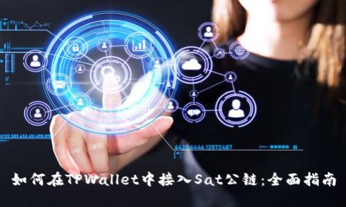 如何在TPWallet中接入Sat公链:全面指南