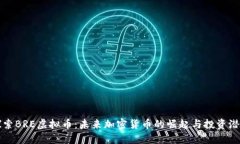 探索BRE虚拟币：未来加密货币的崛起与