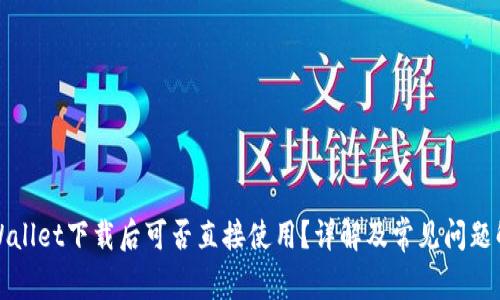 TPWallet下载后可否直接使用?详解及常见问题解答