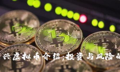 2023年新兴虚拟币介绍:投资与风险的全面解析
